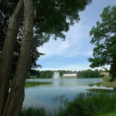 La Finesse Appartement