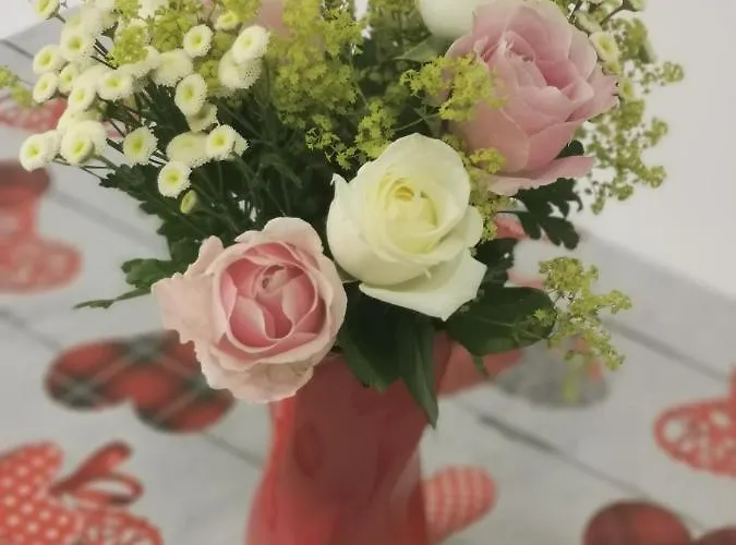 La Finesse * 바트살준겐